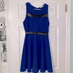 LUSH Royal Blue Skater Dress